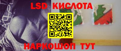 тгк Камышлов