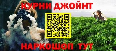 тгк Камышлов