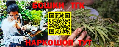 тгк Камышлов