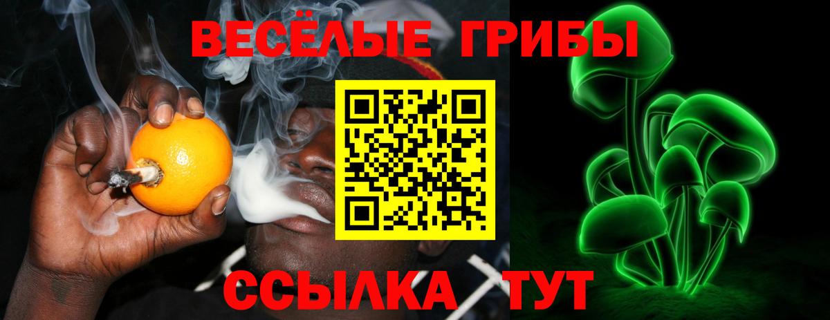 Галлюциногенные грибы Cubensis Лабинск